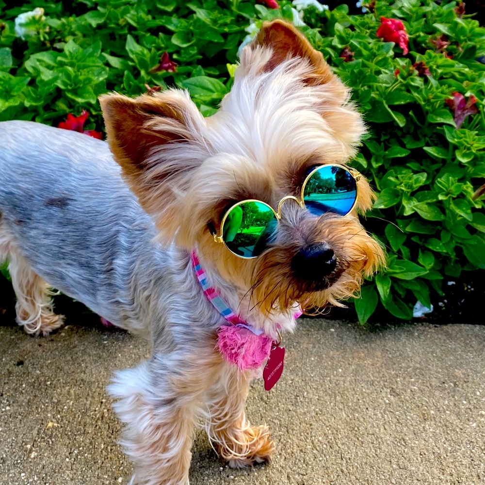 Meet your Posher, Melody